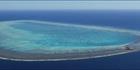Wistari Reef - QLD (PBH4 00 18455)